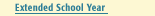 extended school year